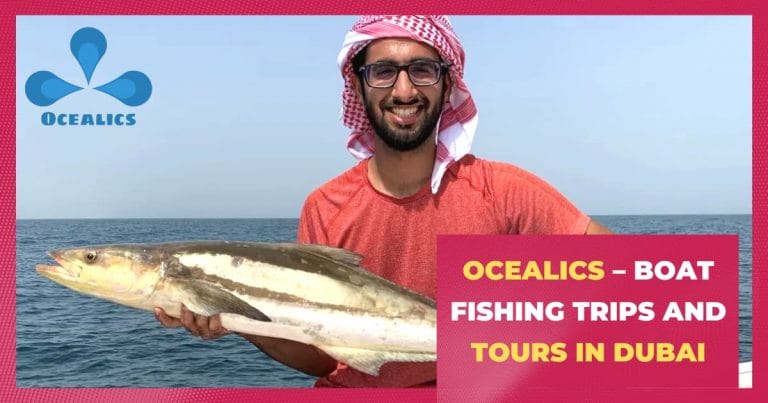 Ocealics-Boat Fishing-Trips-Tours-Dubai