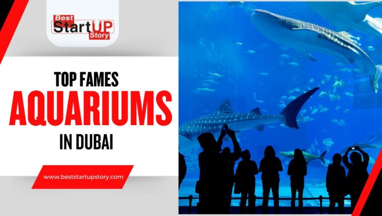 Top Aquariums in Dubai