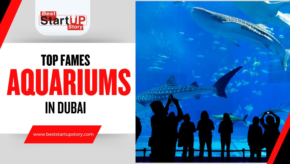Top Aquariums in Dubai
