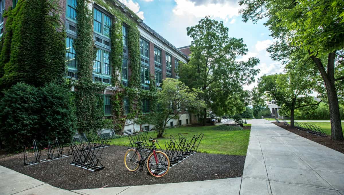 Top College Programs That Foster Entrepreneurial Skills