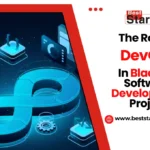 The Role of DevOps in Blacksire Software Development Project