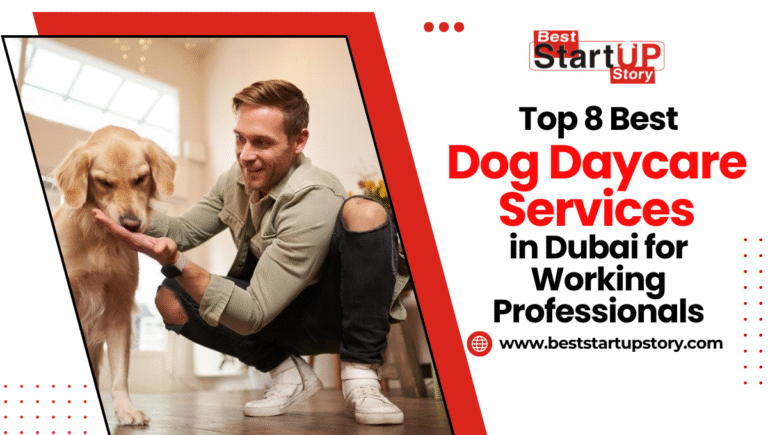 Top 8 Best Dog Daycare Services in Dubai