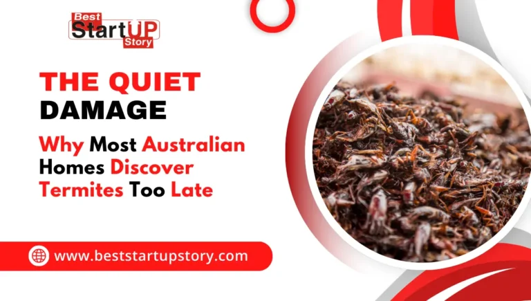 Homes Discover Termites Too Late