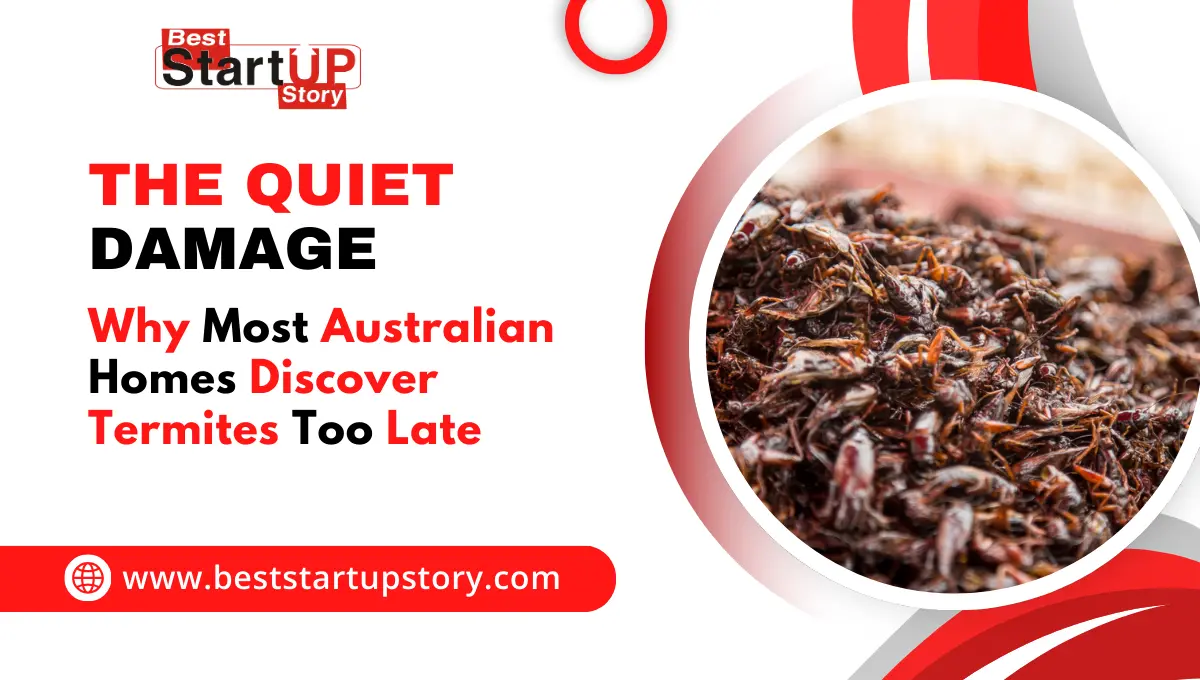 Homes Discover Termites Too Late