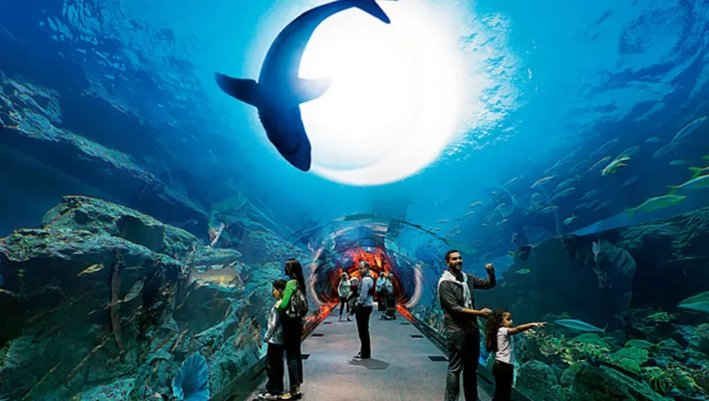 Dubai Mall Aquarium Viewing Panel
