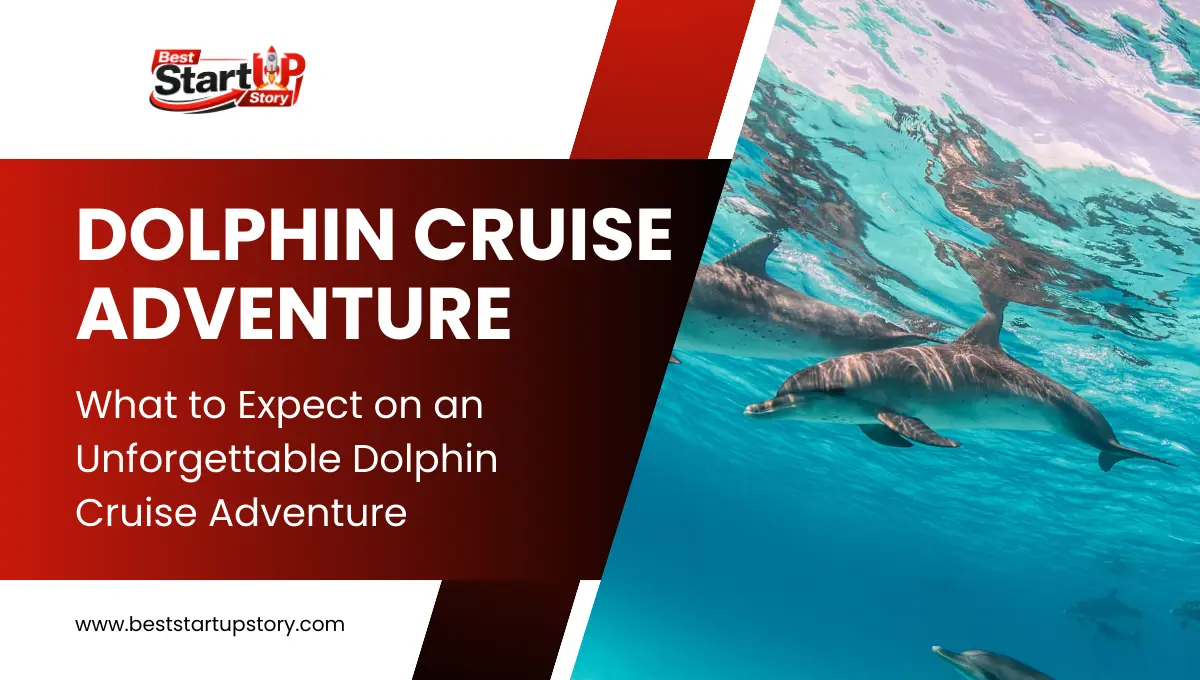 Unforgettable Dolphin Cruise Adventure